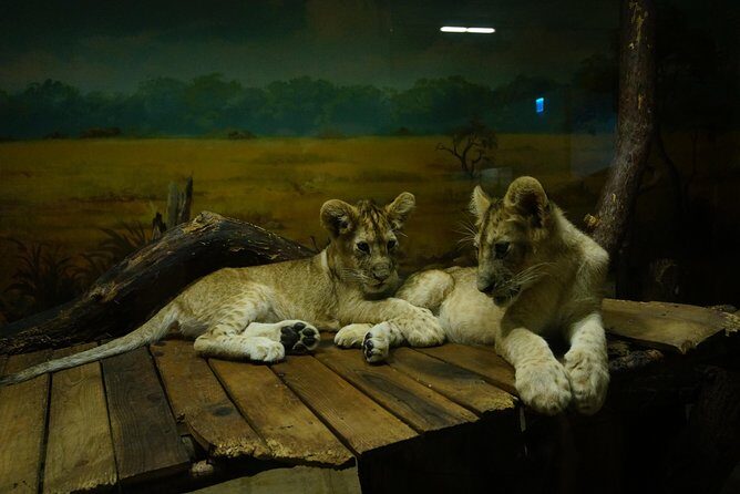 EVERLAND "From Hotel to Hotel" [Premium Private Tour: Only One Group for You] - A Detailed Look at What This Tour Offers