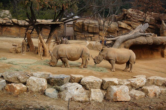 EVERLAND "From Hotel to Hotel" [Premium Private Tour: Only One Group for You] - In-Depth Review: The Experience from Start to Finish