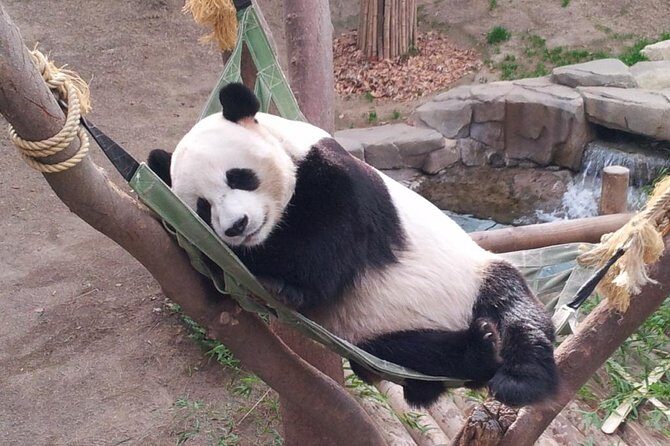 EVERLAND "From Hotel to Hotel" [Premium Private Tour: Only One Group for You] - The Sum Up: Who Will Love This Experience?