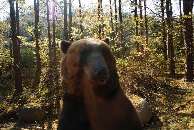 EVERLAND "From Hotel to Hotel" [Premium Private Tour: Only One Group for You] - Frequently Asked Questions