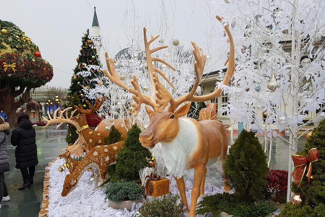 Everland Private Shuttle "Total Private Tour: More Members Less Cost" - Who Should Consider This Tour?