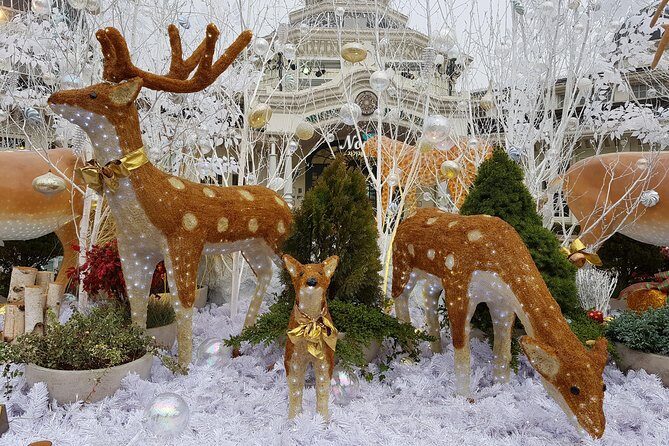 Everland Private Shuttle "Total Private Tour: More Members Less Cost" - Final Thoughts