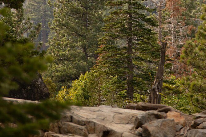 Everline Resort Explorer: Self Guided Olympic Valley Stroll - A Practical Look at the Everline Resort Explorer: Self-Guided Olympic Valley Stroll