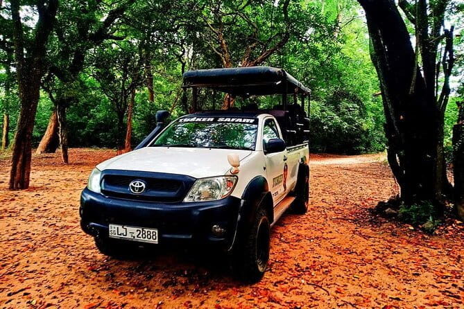 Everything in Udawalawe (Safari, Accommodation with Half Board) - Who Should Book This Safari?