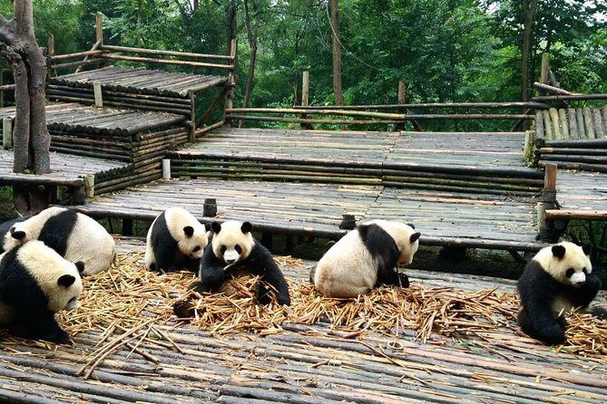 Everything Panda Private Day Tour in Chengdu - The Itinerary in Detail: Pandas, Post Office, and Cultural Charm