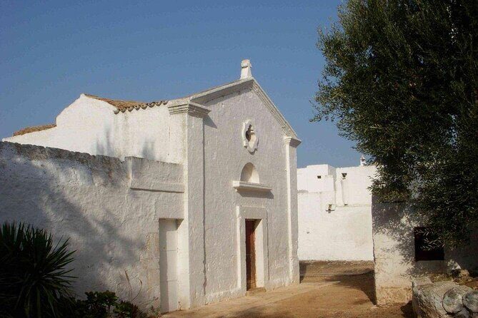 EVO Oil Tasting in Masseria in Ostuni - A Detailed Look at the Olive Oil Tour in Ostuni