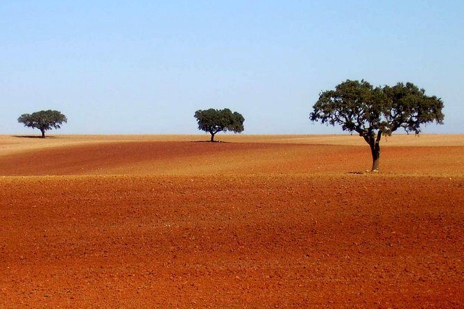 Évora & Alentejo: A Journey Through History and Flavors - What Makes This Tour Stand Out?
