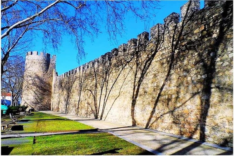 Evora Ancient City & The Alentejo Private Luxury Wine Tour - The Alentejo Region: Portuguese Wine Country