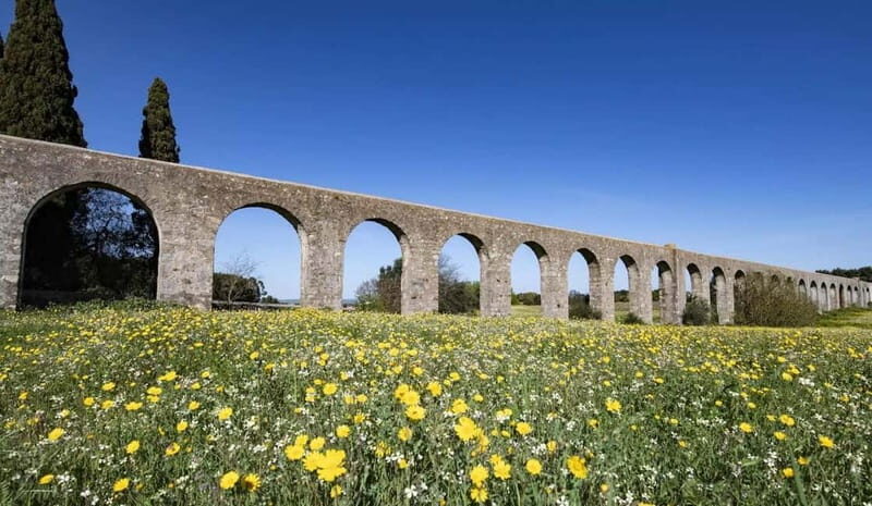 Evora Ancient City & The Alentejo Private Luxury Wine Tour - Who Is This Tour Best For?