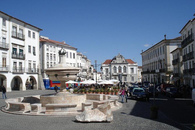 Evora and Monsaraz Wine Tasting Private Tour - Transportation and Comfort