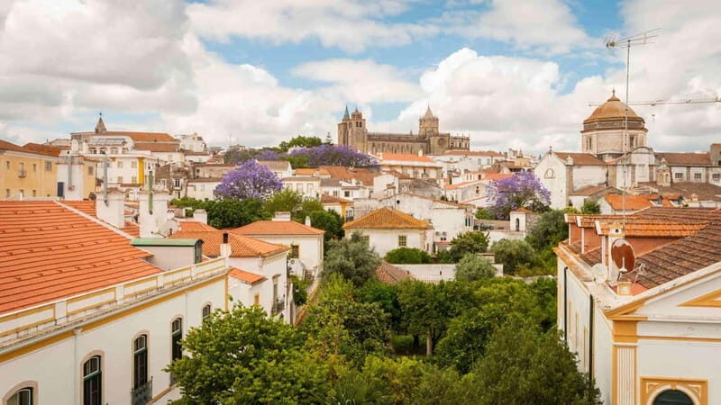 Évora Full Day Tour on a Luxury Mercedes - The Value of This Tour