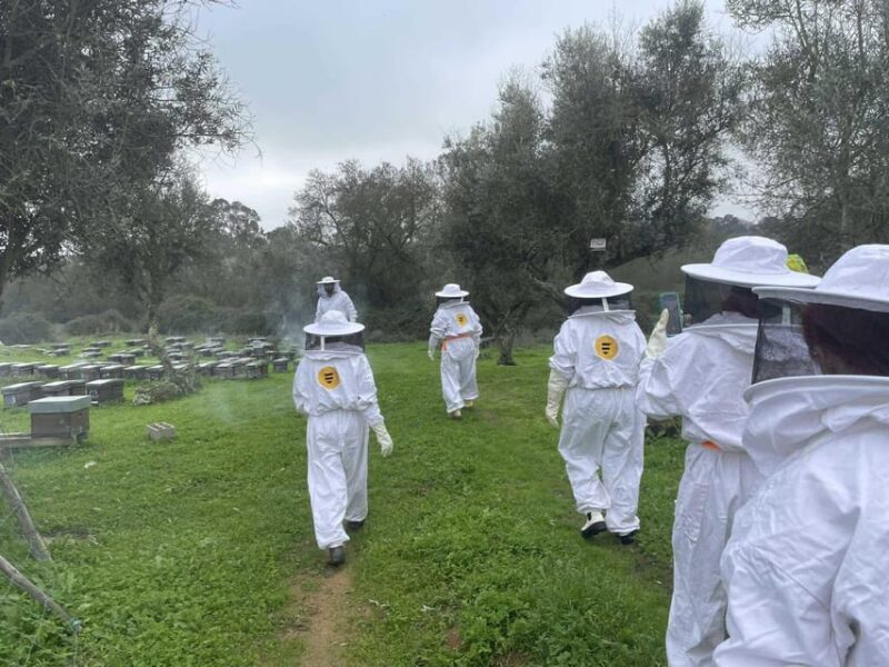 Évora or Montemor: Beekeeping, Chocolate factory, Wine tasting - Exploring Portugal’s Sweet, Savory, and Historic Sides: Évora or Montemor Tour