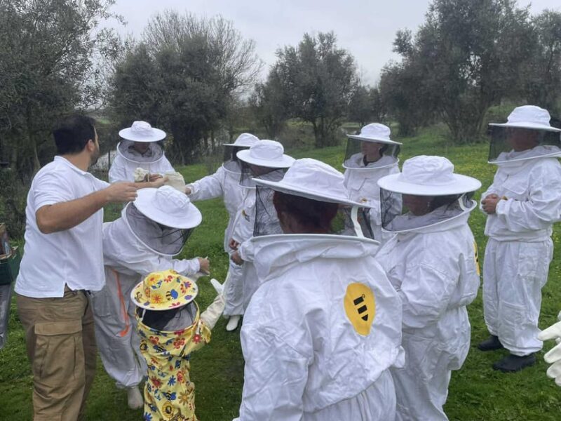 Évora or Montemor: Beekeeping, Chocolate factory, Wine tasting - An In-Depth Look at Your Portugal Day Trip