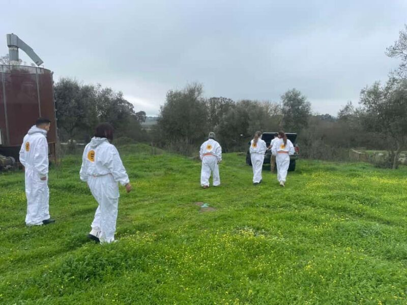 Évora or Montemor: Beekeeping Guided Tour with Honey Tasting - Key Points