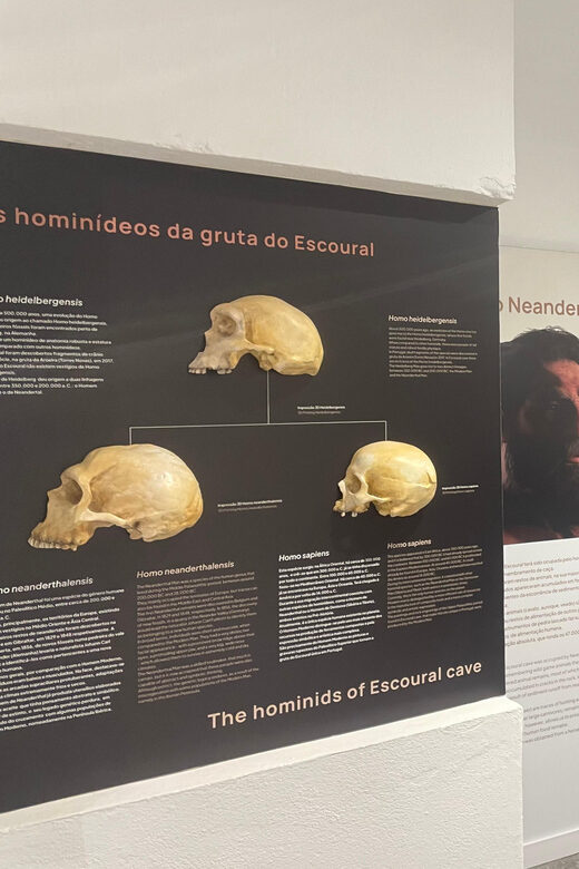 Évora or Montemor: Guided Tour of the Escoural Caves - Final Thoughts