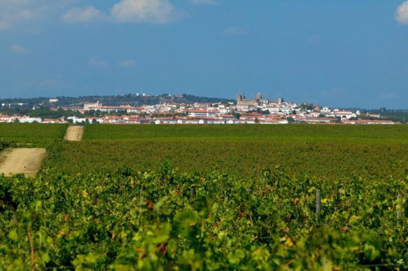 Évora Tour: Private and Customized tour Full and Half day - Why Choose This Tour?