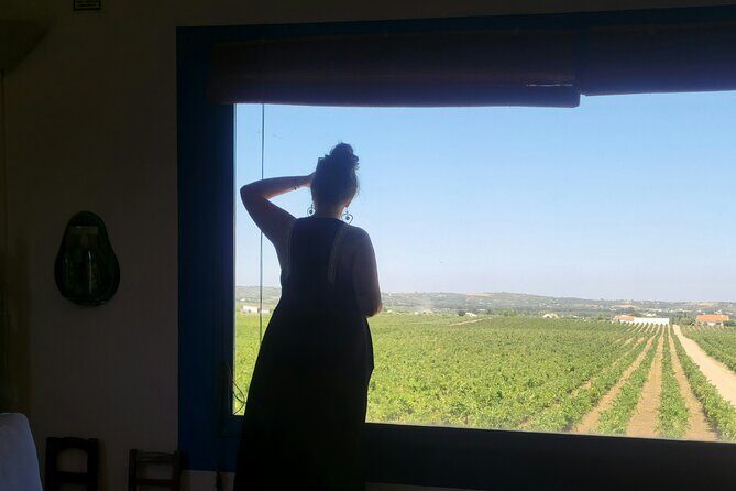 Evora Wine & Cork Experience - A Complete Look at the Evora Wine & Cork Experience