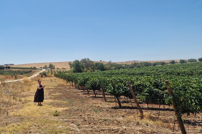 Evora Wine & Cork Experience - Authentic Experiences: What Travelers Are Saying