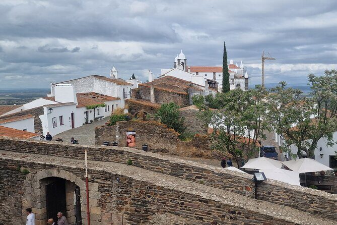 Evora Wine & Cork Experience - Who Should Consider This Tour?