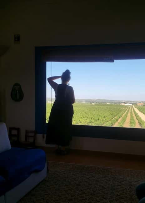 Évora & Wines: A Taste of Authentic Alentejo - Why This Tour Offers Great Value