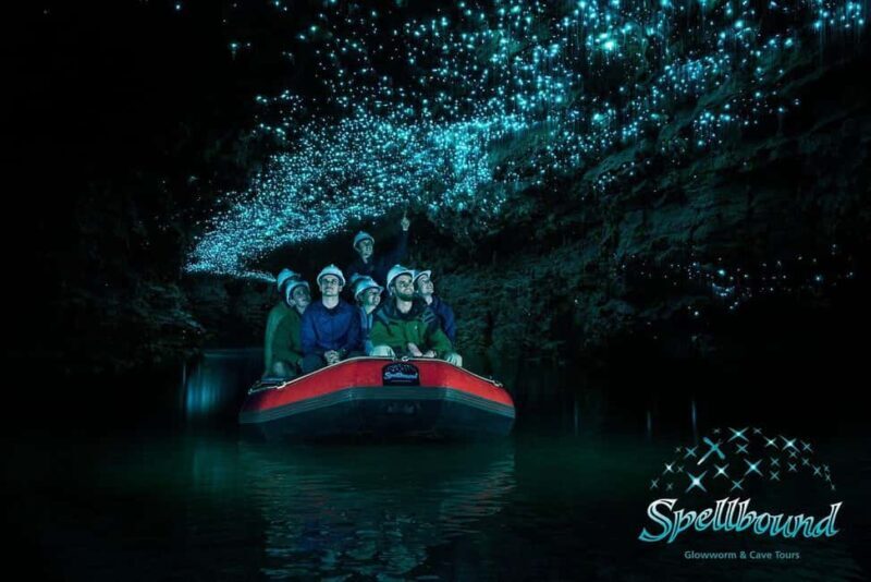Ex Auckland Spellbound Glowworm & Cave Explorer Private Tour - Discover New Zealand’s Hidden Underground World on a Private Tour from Auckland