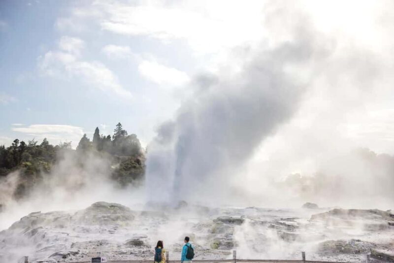 Ex Auckland: TE PUIA Geothermal, Redwood & Blue Springs - First Stop: Tirau for a Quick Break
