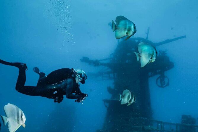 Ex- HMAS Swan Wreck Double Boat Dive - A Deep Dive into the HMAS Swan Experience