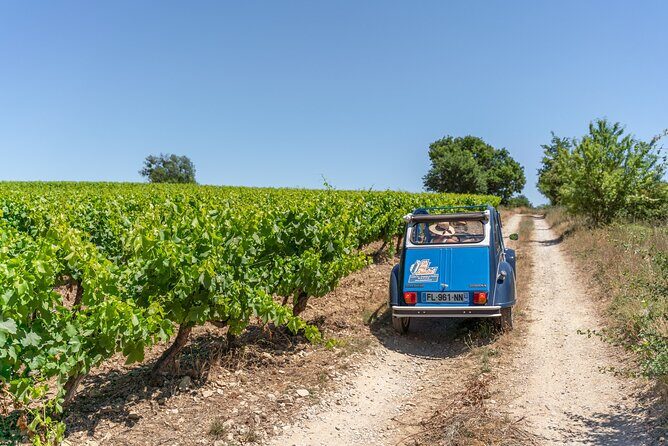 Exceptional 2hp excursion in the Luberon (8h) - The Experience: A Detailed Look