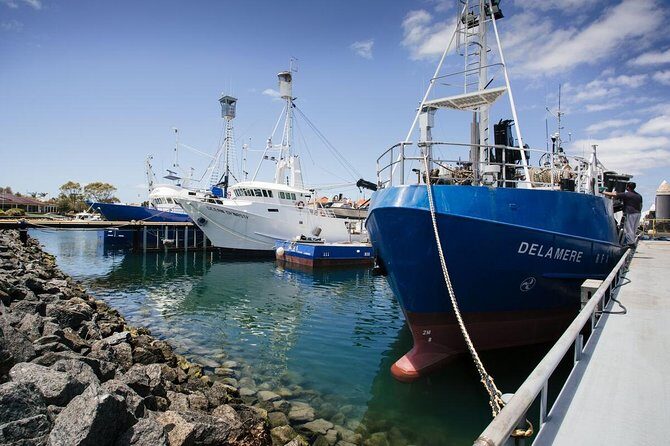 Exceptional Port Lincoln, Seafood and Wildlife Tour - A Detailed Look at the Port Lincoln, Seafood and Wildlife Tour