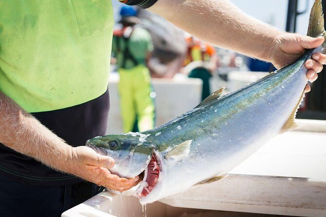 Exceptional Port Lincoln, Seafood and Wildlife Tour - FAQs