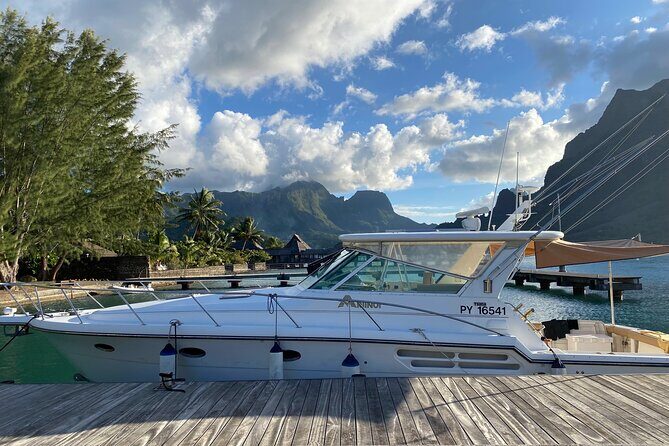 Exceptional whale watching in a Tahiti Yacht - A Deep Dive into the Tahiti Whale Watching Yacht Tour