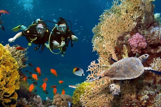 Exciteful Scuba Diving Experience in Antalya - Key Points