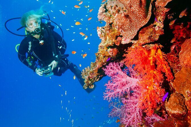 Exciteful Scuba Diving Experience in Antalya - The Value and Who It’s For