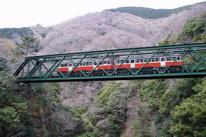 Exciting Hakone - One Day Tour from Tokyo - A Deep Dive into the Hakone Experience