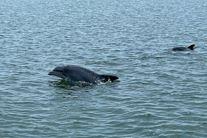 Exciting Public Afternoon Sail on our Newest Sailboat - FAQ