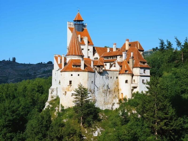 Exclusiv Dracula Bran Castle Day trip - only 6-7 hours - Key Points