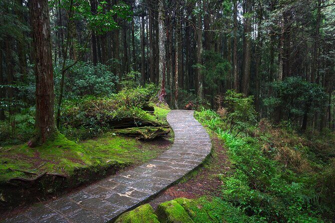 Exclusive 3-Day Sun Moon Lake & Alishan Private Tour - Final Thoughts