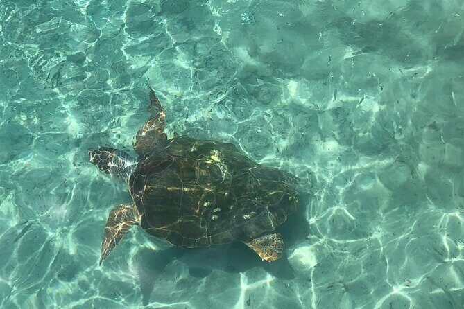 Exclusive 4 -Hour Private nature Tour: West Curacao's Best - Final Thoughts: Who Is This Tour Best For?