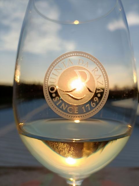 Exclusive 5-wine tasting - Final Thoughts