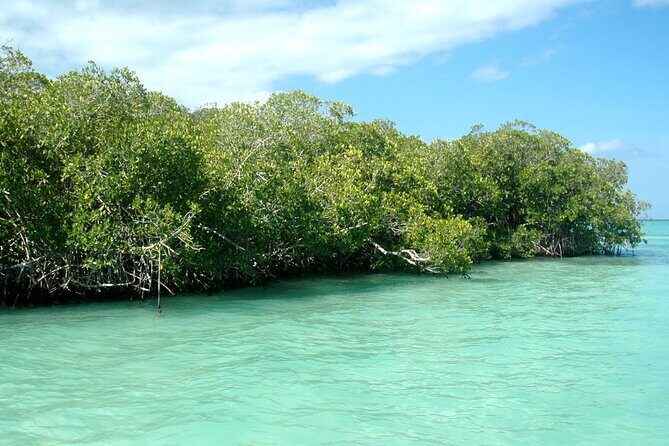 Exclusive Adventure in Saona: Small Group - Key Points