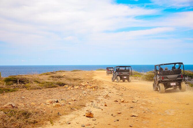 Exclusive Aruba UTV Rentals - Key Points