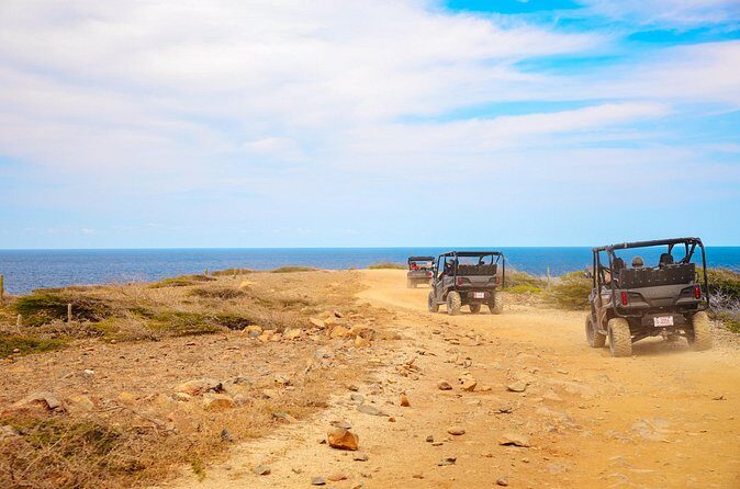 Exclusive Aruba UTV Rentals - FAQ