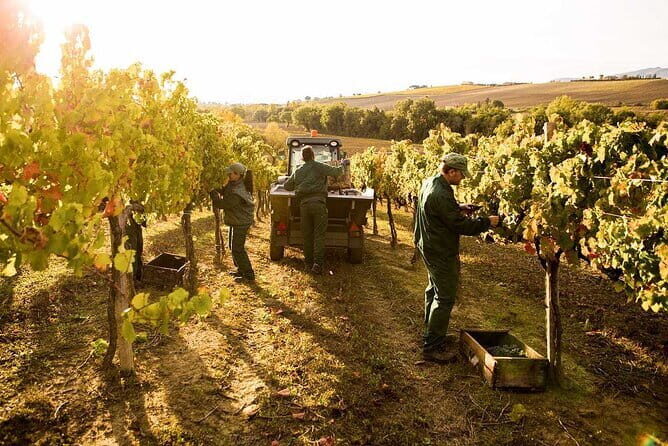 Exclusive Assisi & Sagrantino di Montefalco Wines from Florence - An Honest Look at the Florence to Assisi & Montefalco Wine & Cultural Tour