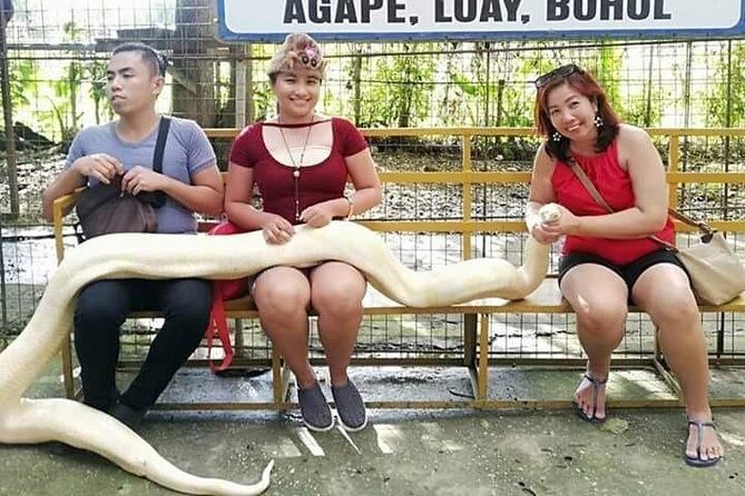 Exclusive Bohol,Philippines Chocolate Hills-Tarsier Tour - A Closer Look at the Experience