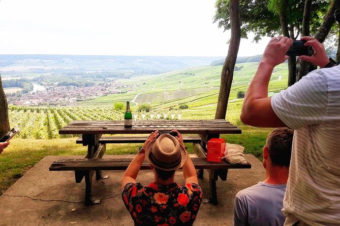 Exclusive Champagne Cellars & Dom Perignon Vineyards tour - Exploring the Champagne Region: An In-Depth Look at the Exclusive Champagne Cellars & Dom Perignon Vineyards Tour