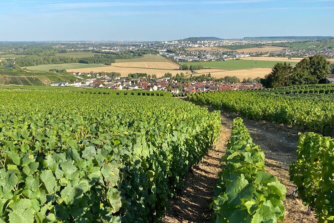 Exclusive Champagne Cellars & Dom Perignon Vineyards tour - In Closing