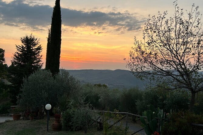 Exclusive Chianti Classico Day Trip from Florence - The Bottom Line: Is This Tour Worth It?