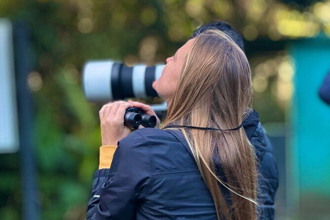 Exclusive Cloud Forest Birding + FREE Binoculars + hummingbirds - A Closer Look at the Exclusive Cloud Forest Birding Tour in Monteverde