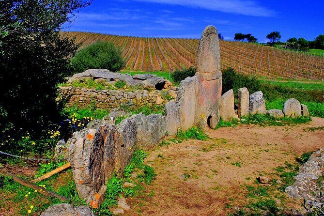 Exclusive Costa Smeralda Sightseeing Tour for 2/3 people - Frequently Asked Questions