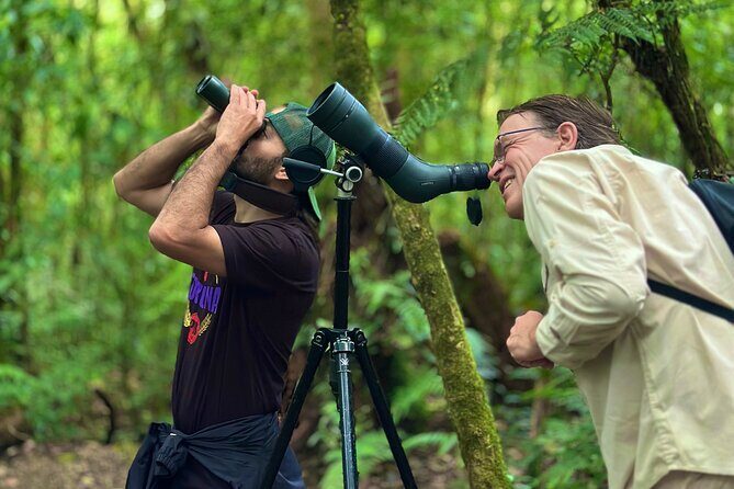 EXCLUSIVE Curicancha Cloud Forest Nature Walk with FREE Binocs - A Deep Dive into the Curicancha Cloud Forest Experience